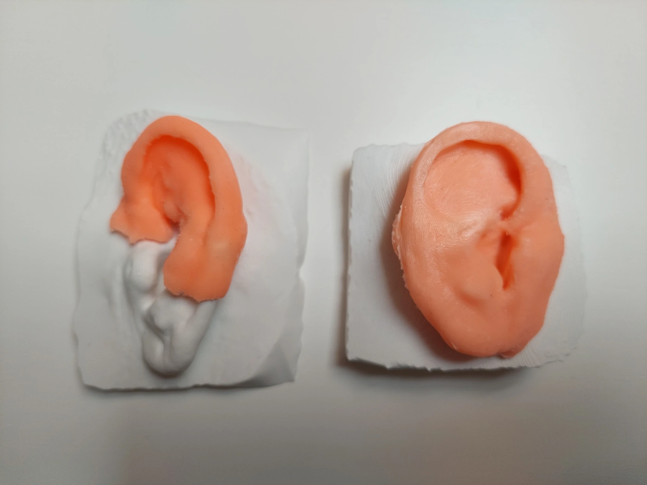3D_fül.jpg